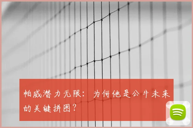 帕威潜力无限:为何他是公牛未来的关键拼图?
