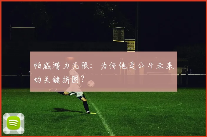 帕威潜力无限：为何他是公牛未来的关键拼图？