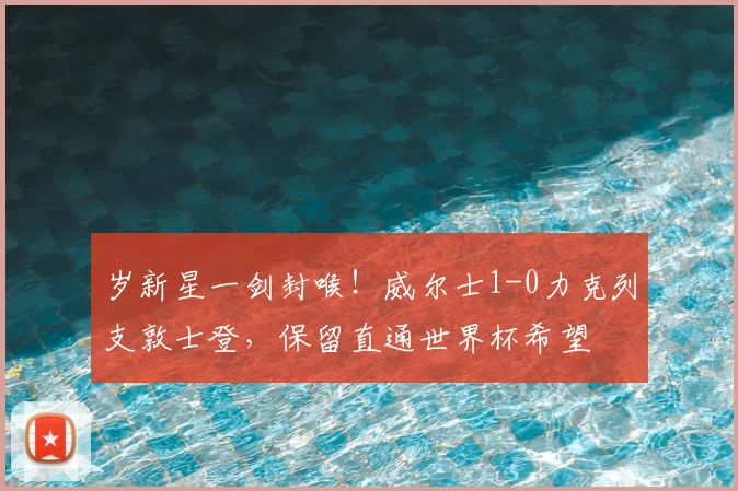 岁新星一剑封喉！威尔士1-0力克列支敦士登，保留直通世界杯希望