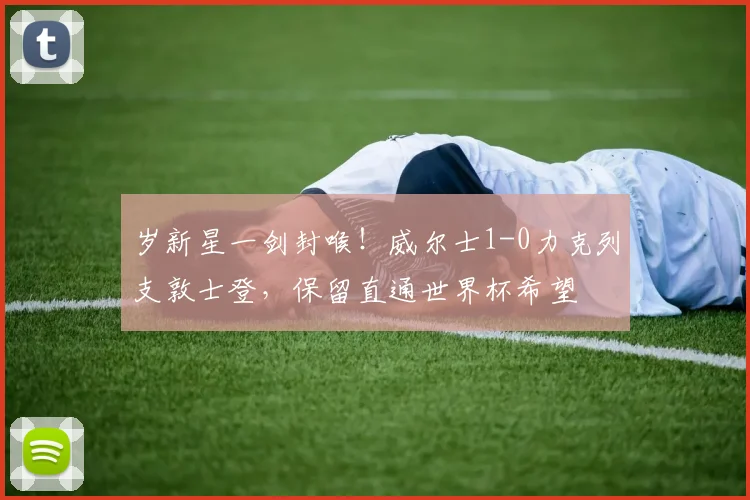 岁新星一剑封喉!威尔士1-0力克列支敦士登,保留直通世界杯希望