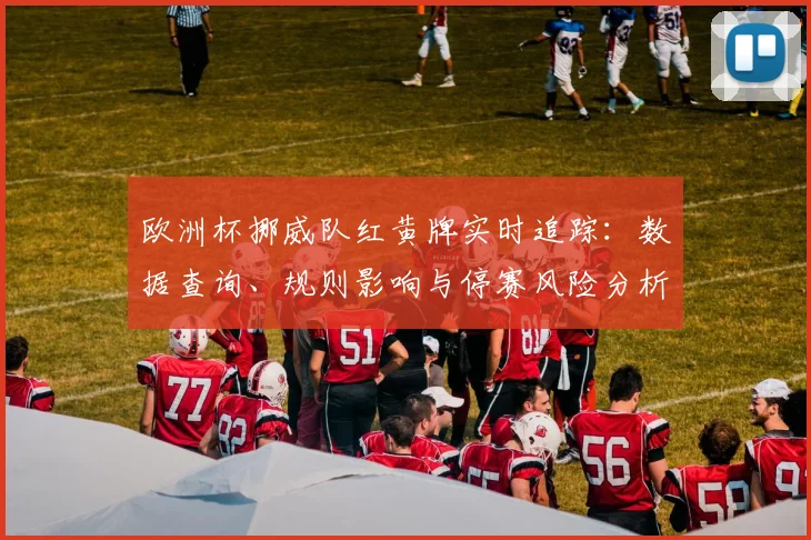 欧洲杯挪威队红黄牌实时追踪：数据查询、规则影响与停赛风险分析指南
